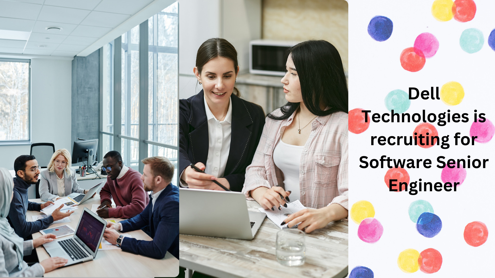 SENIOR SOFTWARE ENGINEER DELL visual data 7